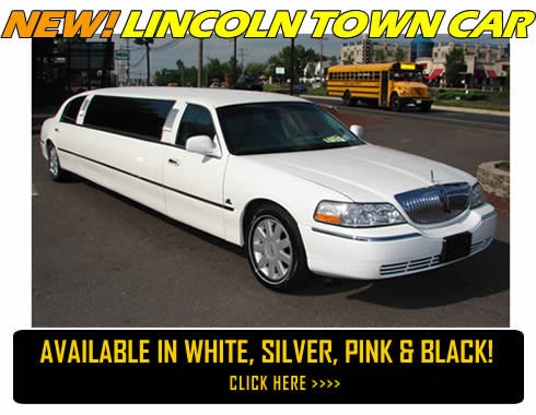 Stretched Limos